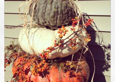 Pumpkin for sale